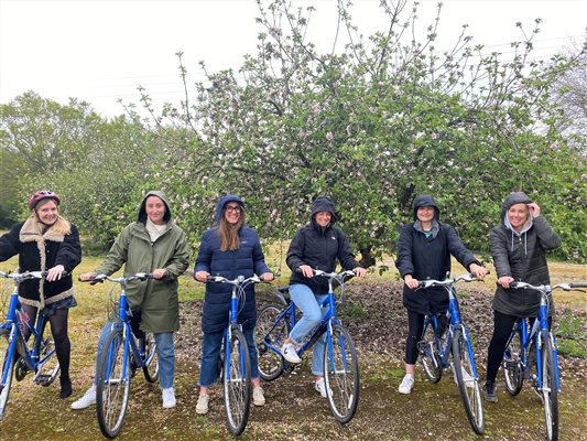 Fleet of bikes